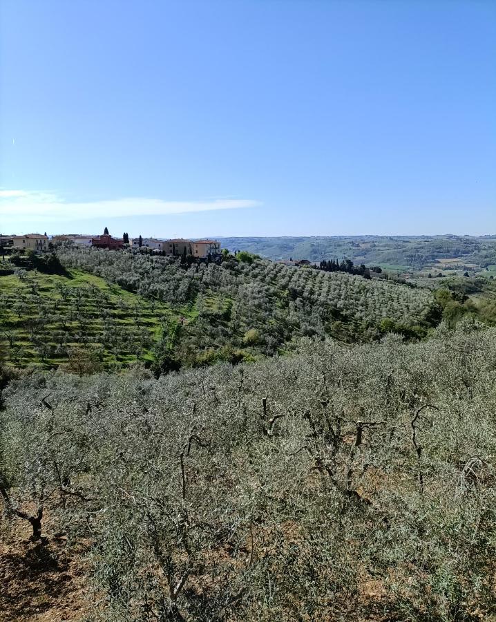 סטרדה Chianti-Home Palagione מראה חיצוני תמונה